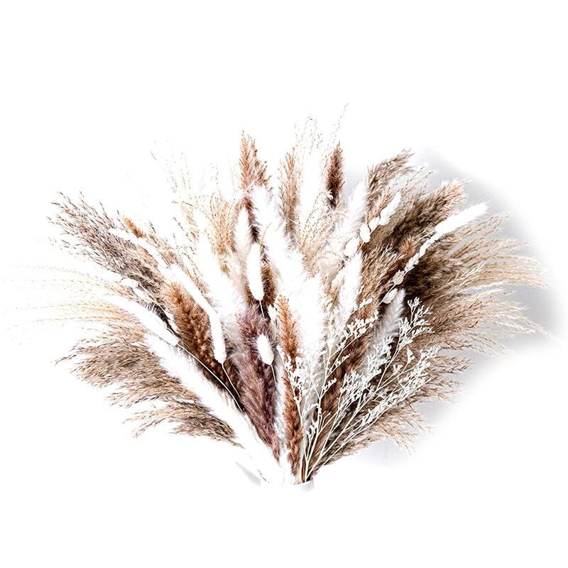 Assorted Dried Pampa Grass Bouquet - Image #7